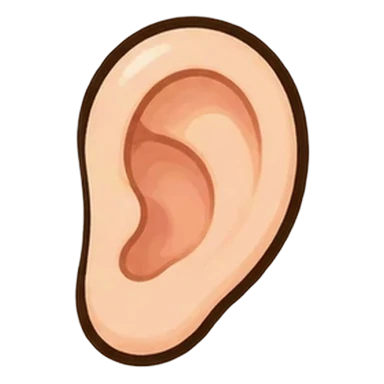 تصویر ear (گوش)